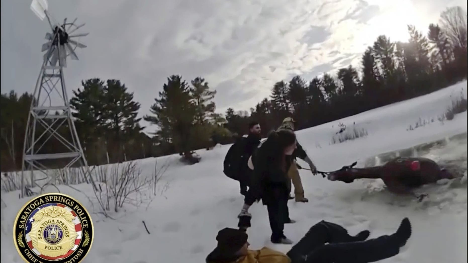 SEE IT: New York police save horse from icy pond in dramatic rescue