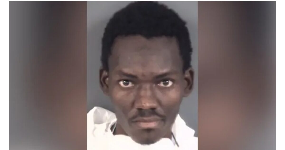 Illegal Alien From Haiti Flown Into US on Biden's Parole Program Charged with Triple Murder, Including Two Children