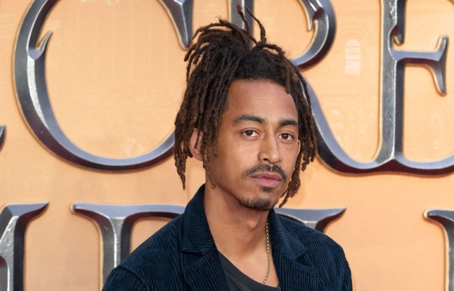 British popstar rejected Star Wars TV show 'after being asked to cut off dreadlocks'