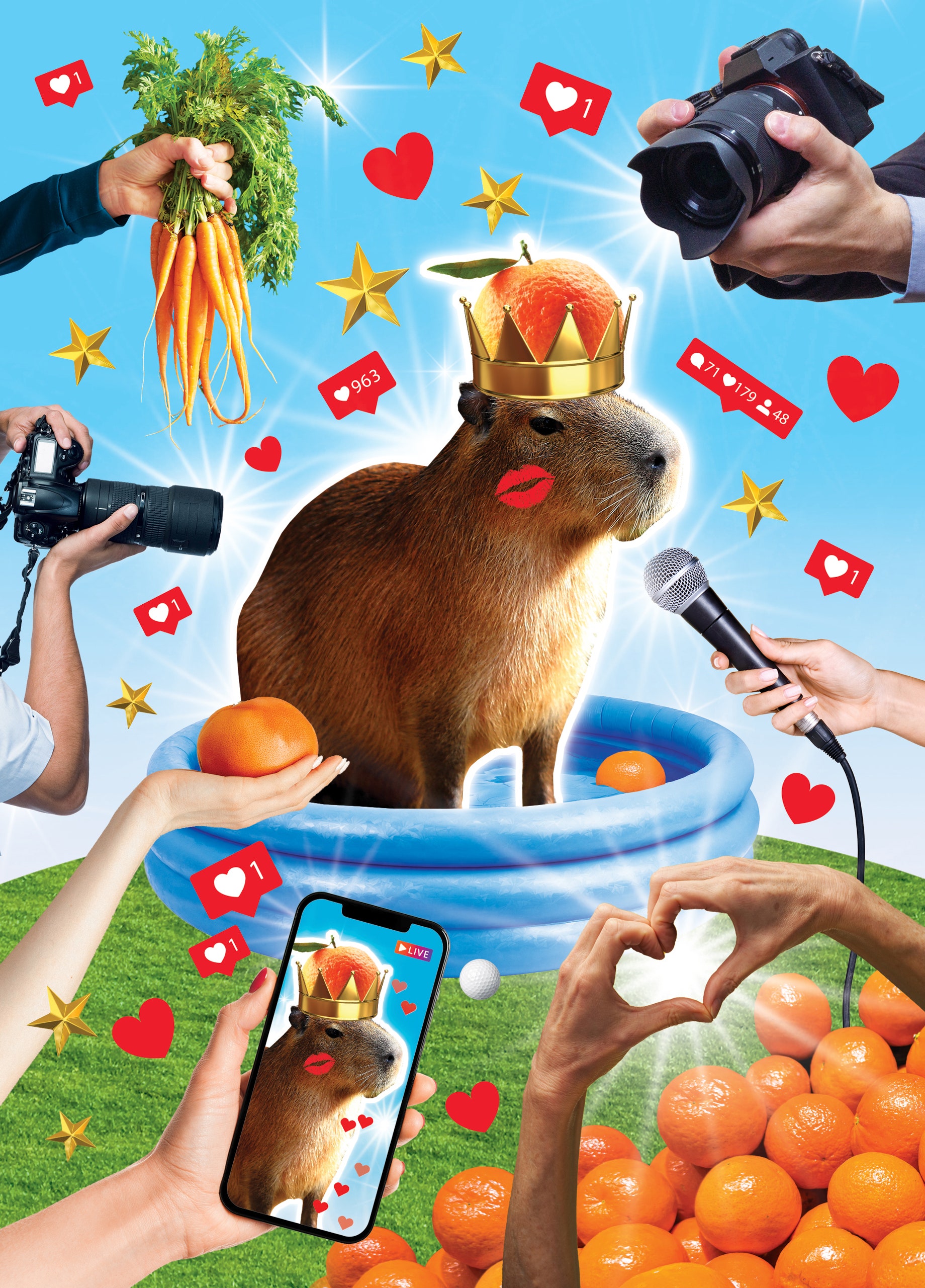 How the Capybara Won My Heart—and Almost Everyone Else’s