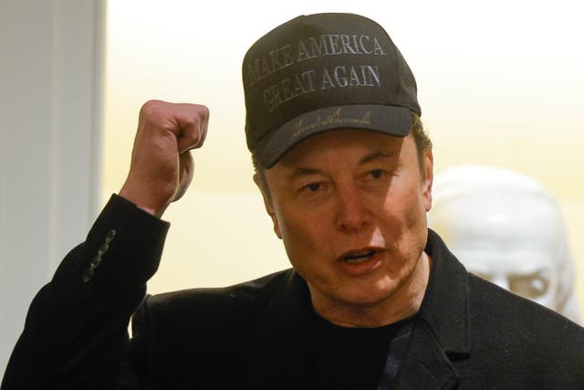Special government employees come with a 130-day cap. But, no one knows when - or if - Musk will leave 