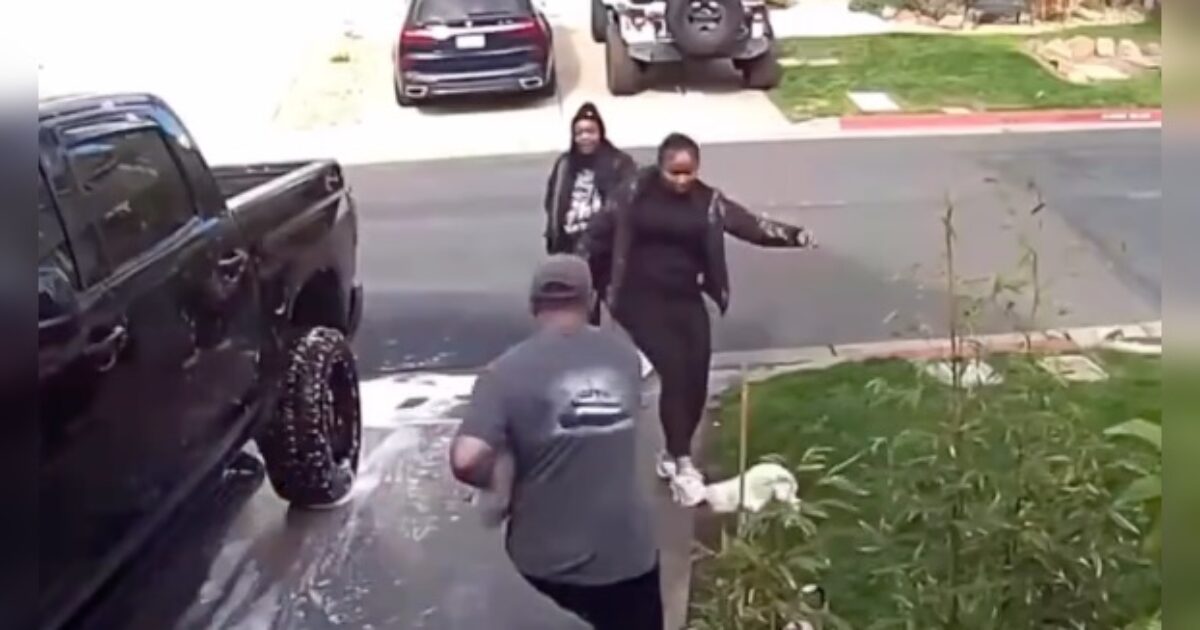 Two California Women Arrested in Connection to Dog-Kicking Incident That Went Viral (VIDEO)
