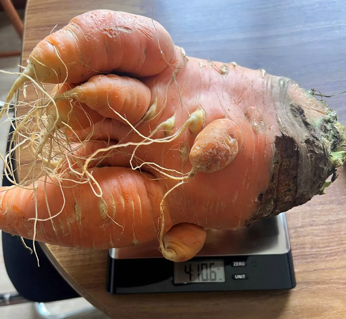Retired farmer grows 'biggest carrot ever' 