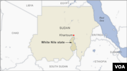 Sudanese RSF paramilitaries kill 100s in White Nile state 