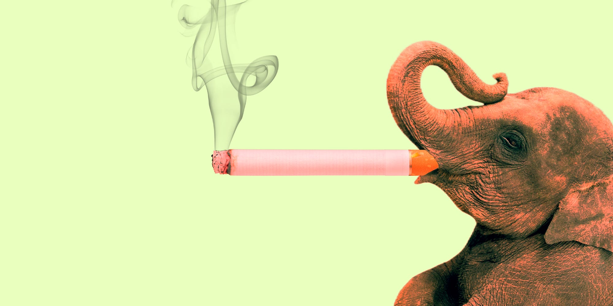 Inside the weird, nicotine-obsessed subculture that's lurking within the Republican party