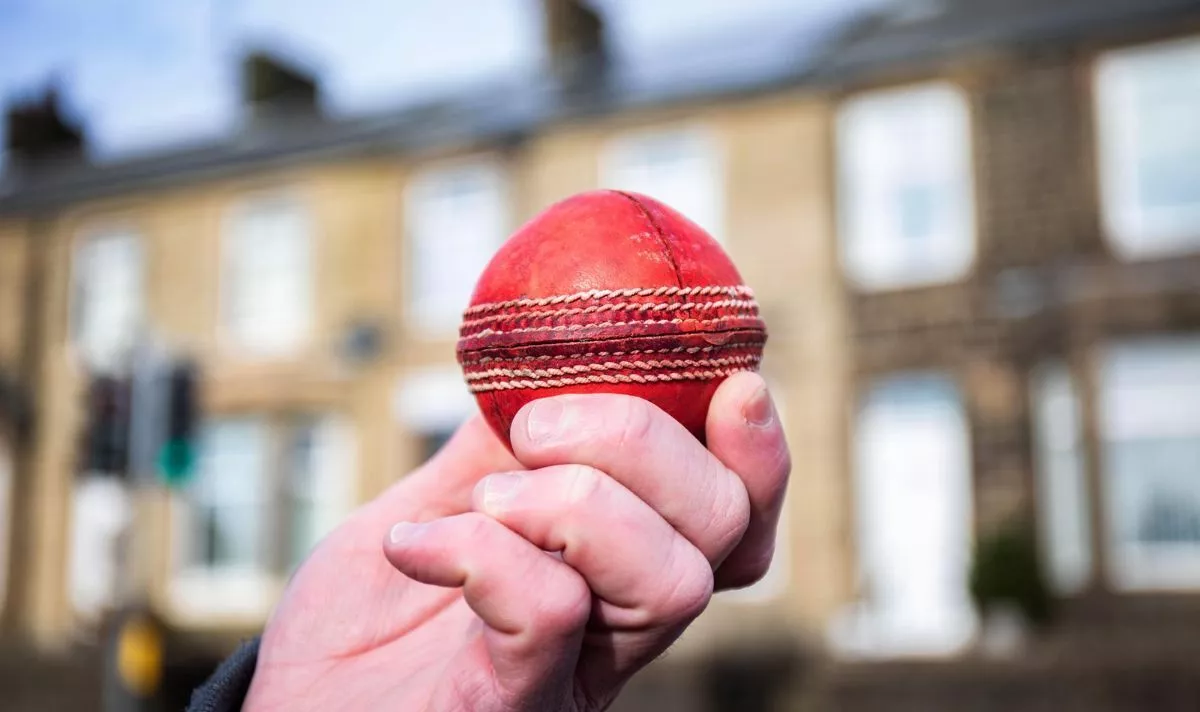 Couple take legal action against cricket club after 'six' smashes solar panel