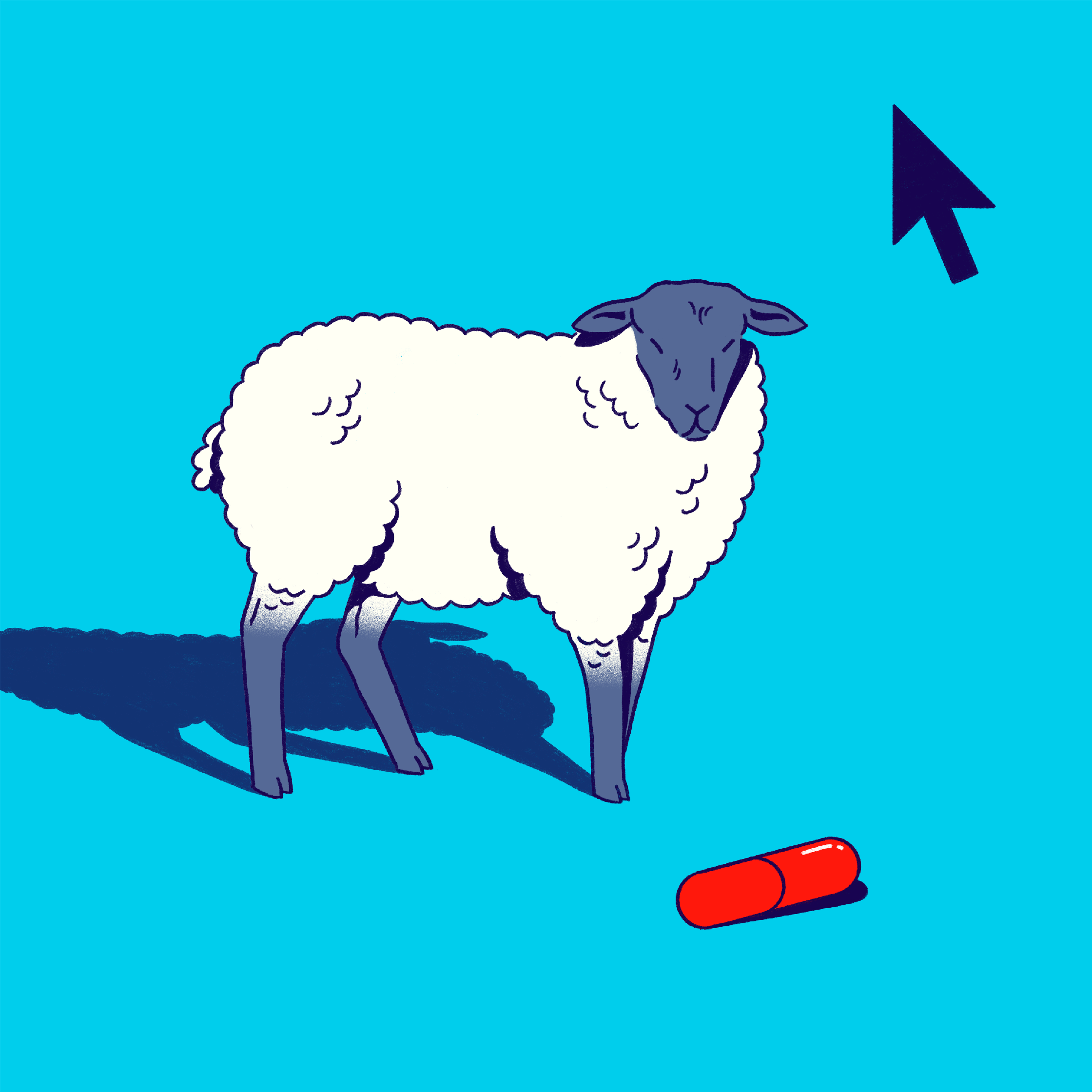 Should You Question Everything?