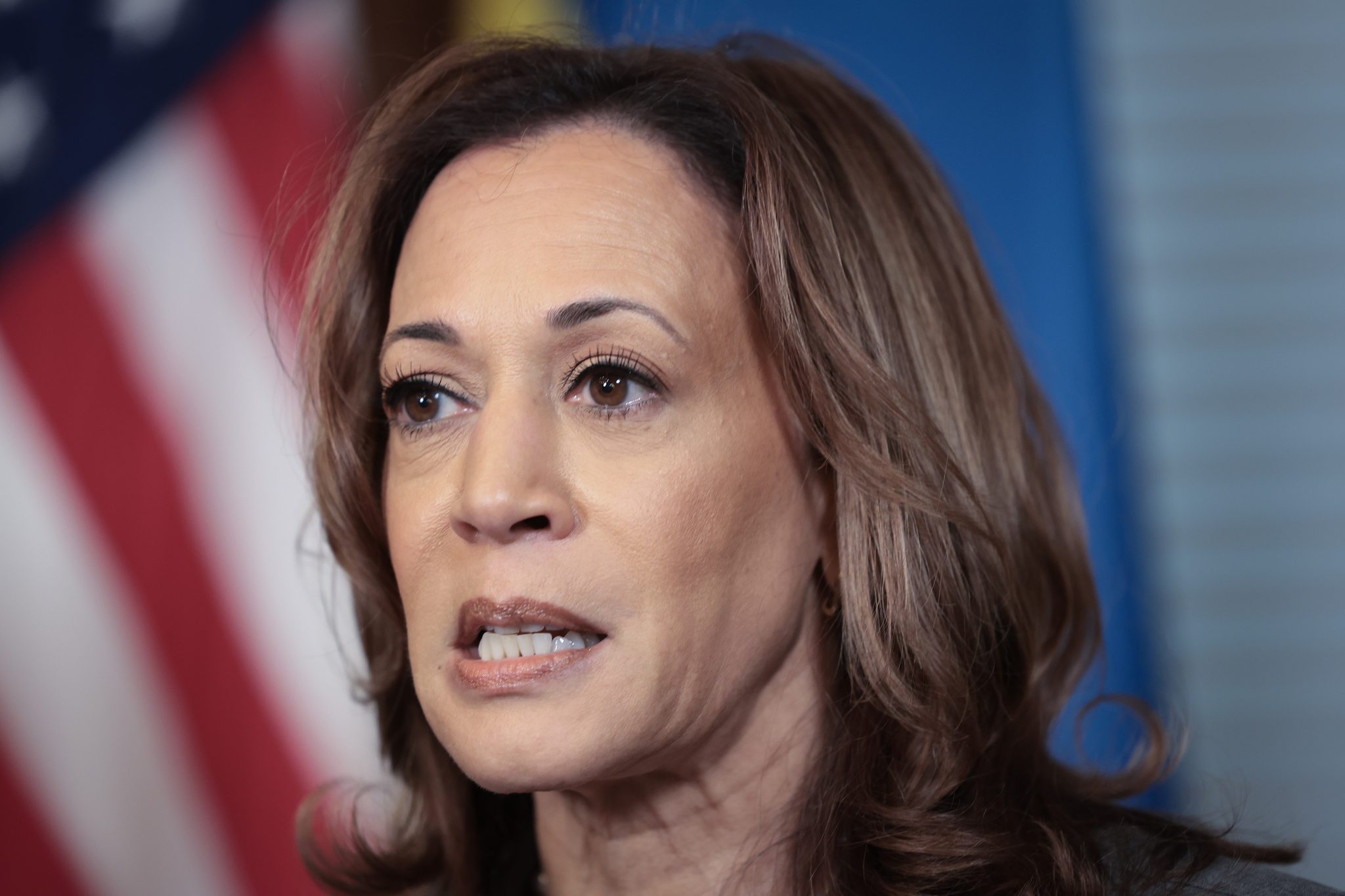 DNC Chair Candidates Agree: Kamala Harris Lost Because of ‘Racism and Misogyny’