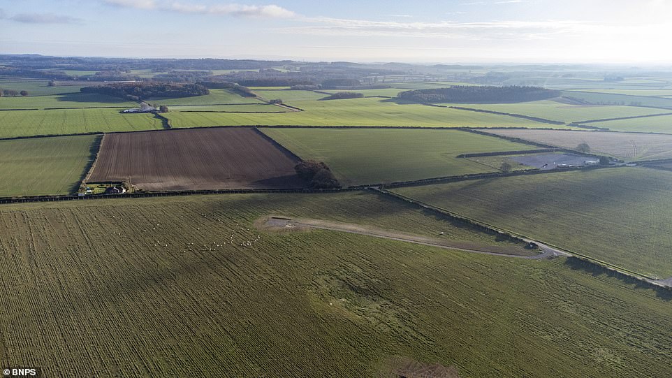 Dorset locals slam huge solar farm sending ALL its power to London