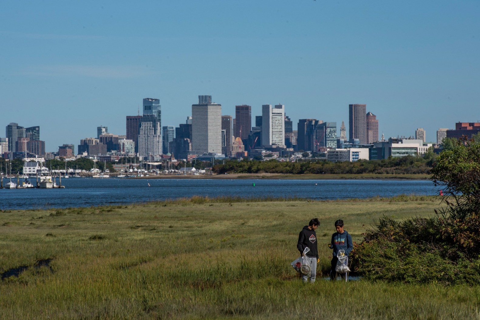 What Can We Do About Climate Policy in Trump’s America? Act Locally