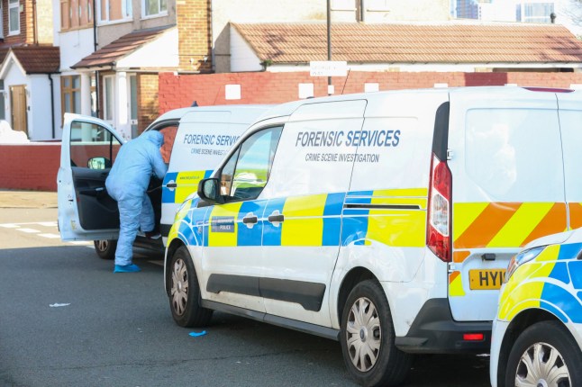 Woman, 45, found dead in Perivale home named while man charged with her murder