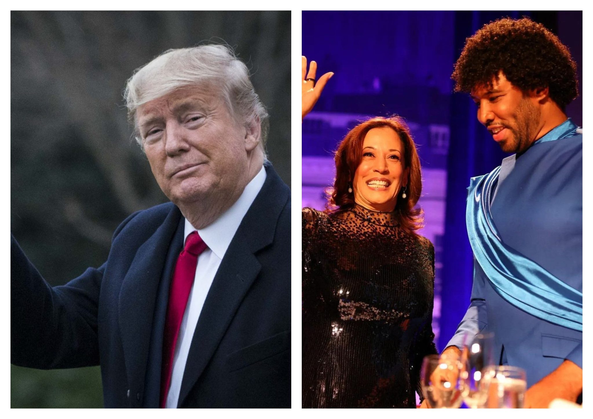 Trump Strips Power From Left-Leaning White House Correspondents' Association Led By 'Kamala Harris Expert'