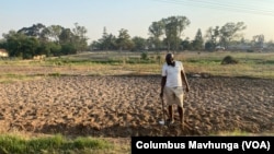 Zimbabwe to pay displaced, foreign white farmers