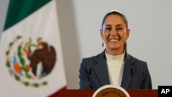 Mexico’s president calls for constitutional reform to protect nation's sovereignty 