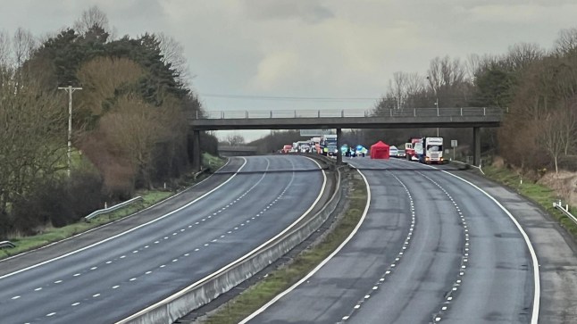 Man in his 50s dies after being hit by a lorry on major M5 motorway